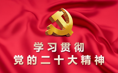 中国共产党第二十次全国代表大会学习专题