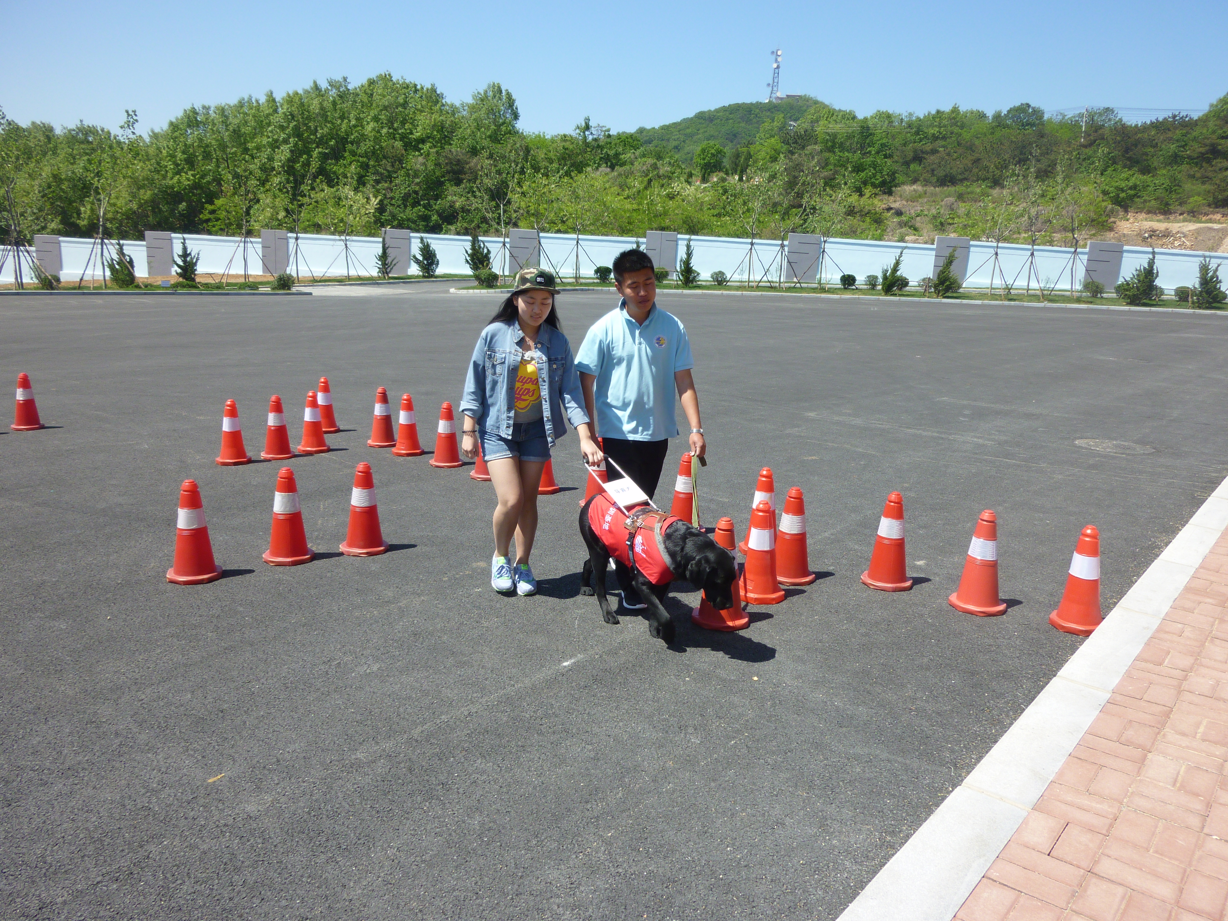 P1030901.JPG