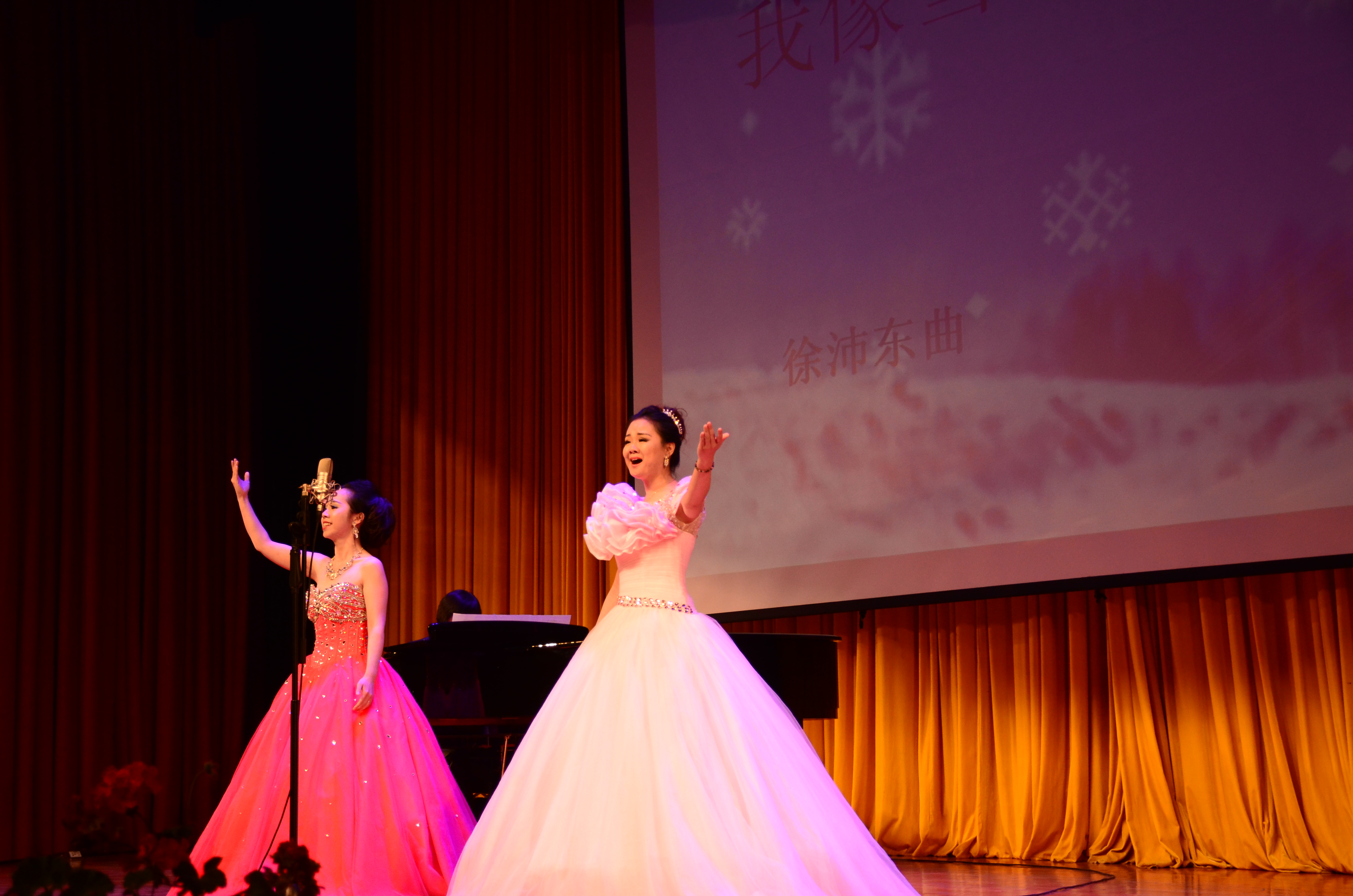 DSC_8011.JPG