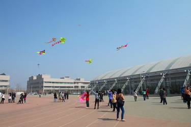 01.jpg