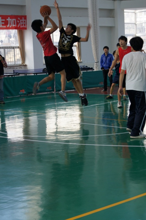p_large_X3qP_2685000154525c41.jpg