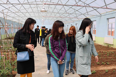 3.志愿者参观儿童村蔬菜大棚_副本.jpg