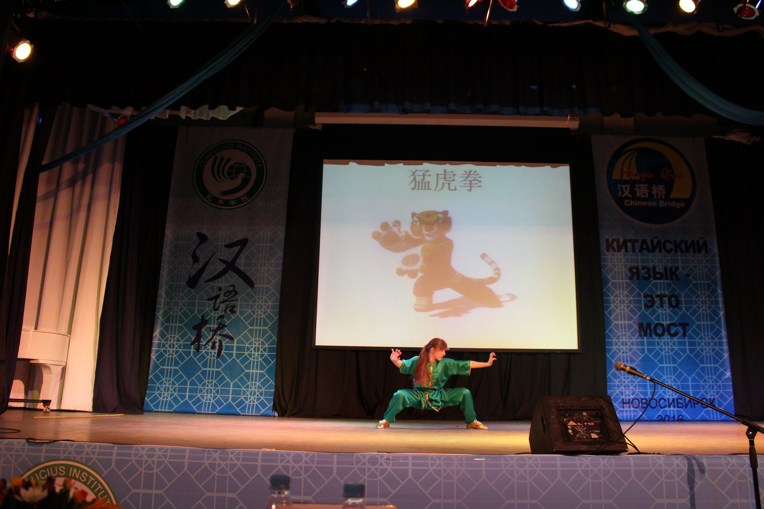 图六：武术表演-猛虎拳.JPG