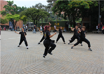图片2：精湛的武术技艺展示.jpg
