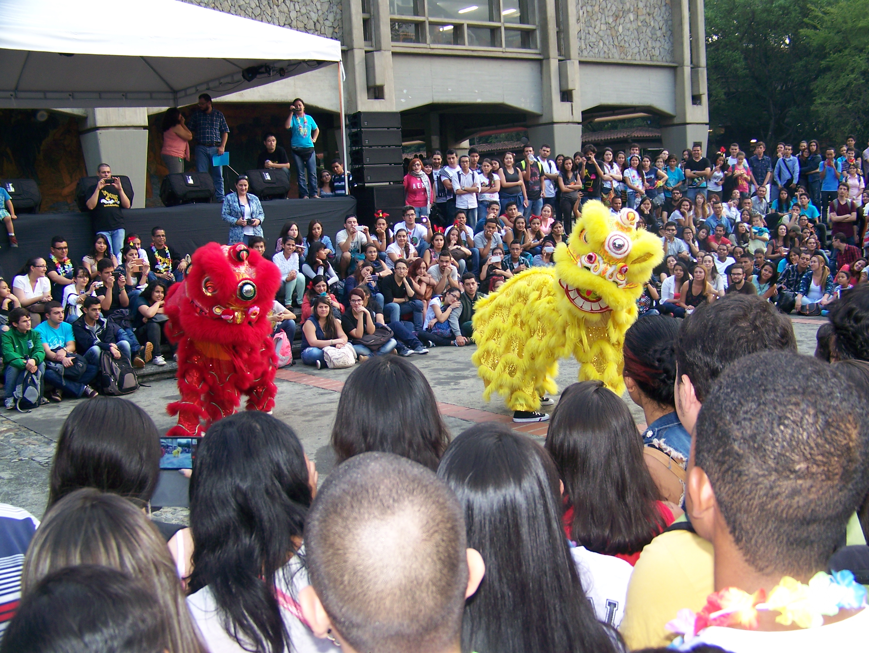 图片9：观众被舞狮表演所吸引.JPG