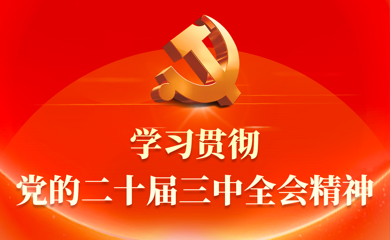 学习贯彻党的二十届三中全会精神