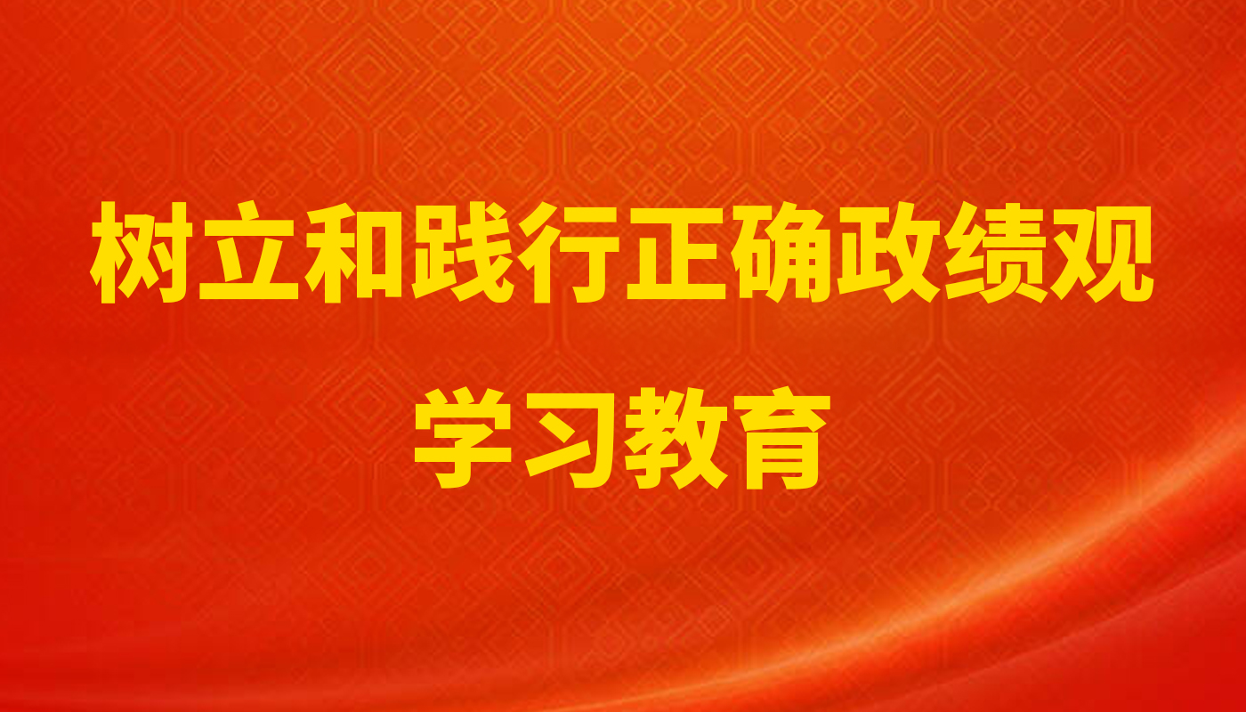 树立和践行正确政绩观学习教育