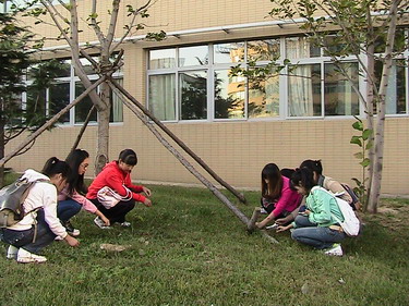 chucai2.jpg