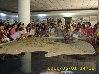 STA41804.JPG