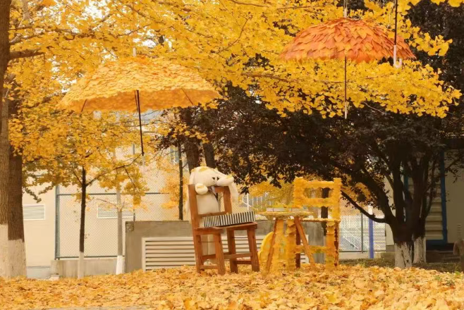 中国教育报：全网刷屏！“银杏伞”出圈有哪些美育启示？