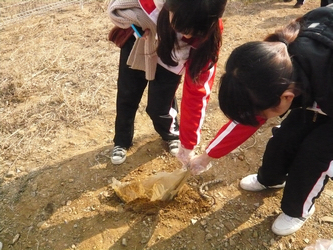 P1000895.JPG